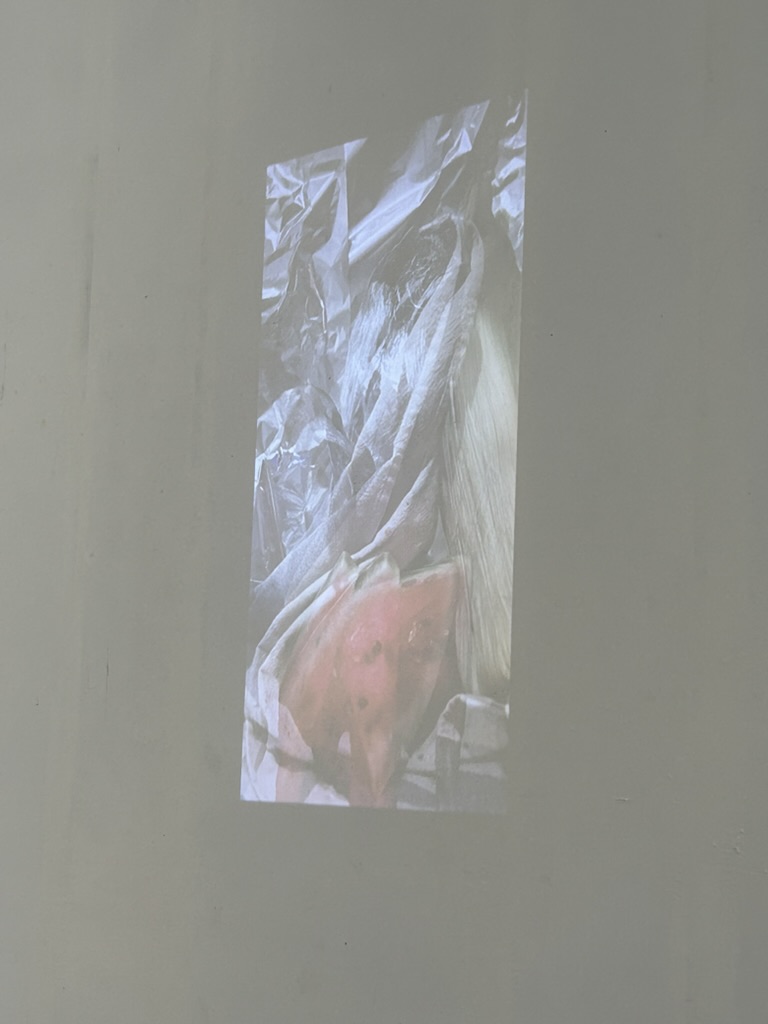 Lumbre — Ensayos sobre el bodegón y la Vanitas, imagen 4